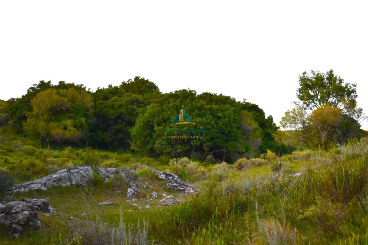 Chacra ID.1 - Chacra 5 ha en Lavalleja con casa moderna y tajamar a 15 min de Minas