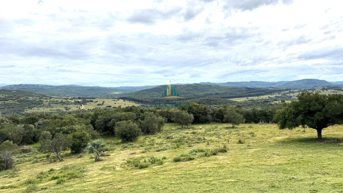 Chacra ID.2 - Chacra de 2 hectáreas con vistas abiertas y acceso independiente  Camino Paso a la Cantera