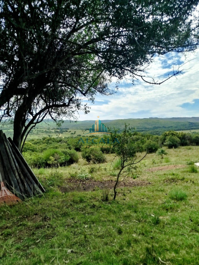 Chacra ID.2 - VENTA Chacra 2 hectáreas  Camino Paso a la Cantera, San Carlos, Maldonado