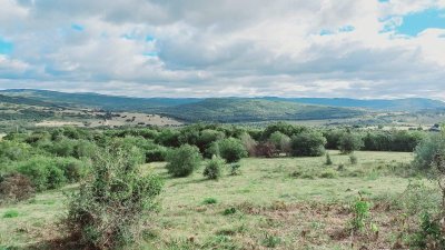 VENTA Chacra 2 hectáreas  Camino Paso a la Cantera, San Carlos, Maldonado