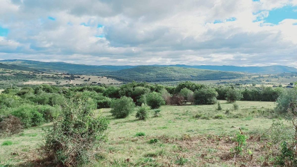 VENTA Chacra 2 hectáreas  Camino Paso a la Cantera, San Carlos, Maldonado