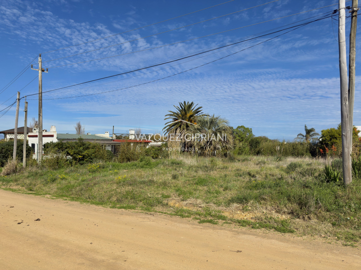 Terreno ID.118 - Excelente lote en El Chorro en venta 