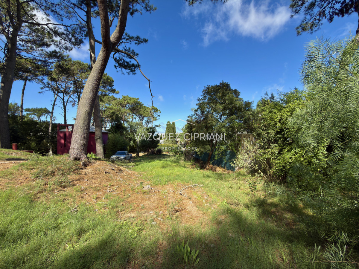 Terreno ID.7 - Terreno de 600 metros a la venta en Montoya, La Barra