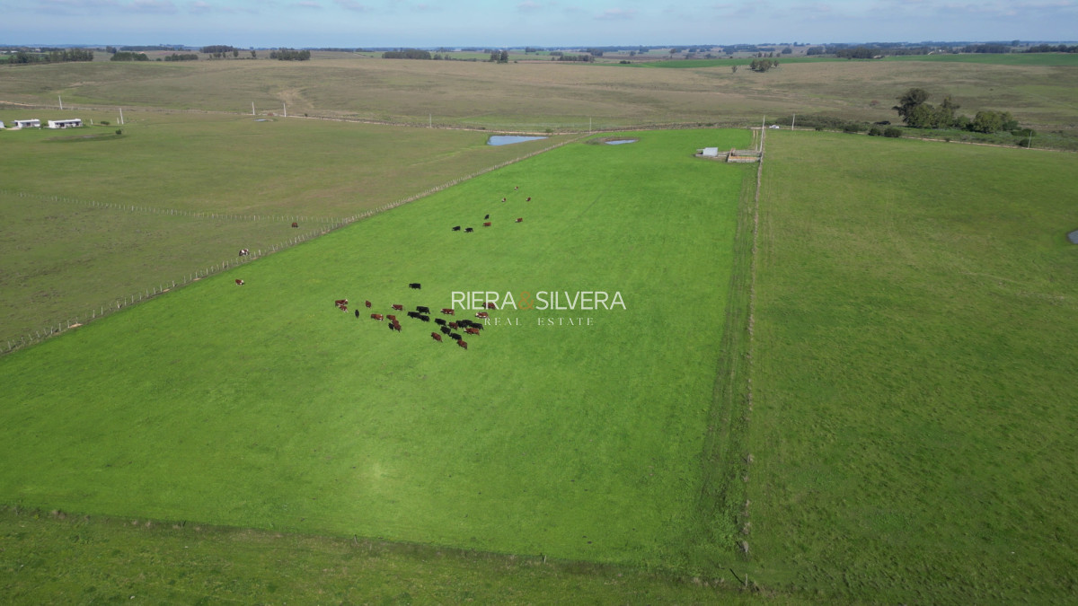 Chacra ID.58 - Campo con mejoras en Cañada Bellaca - Ganadero - 