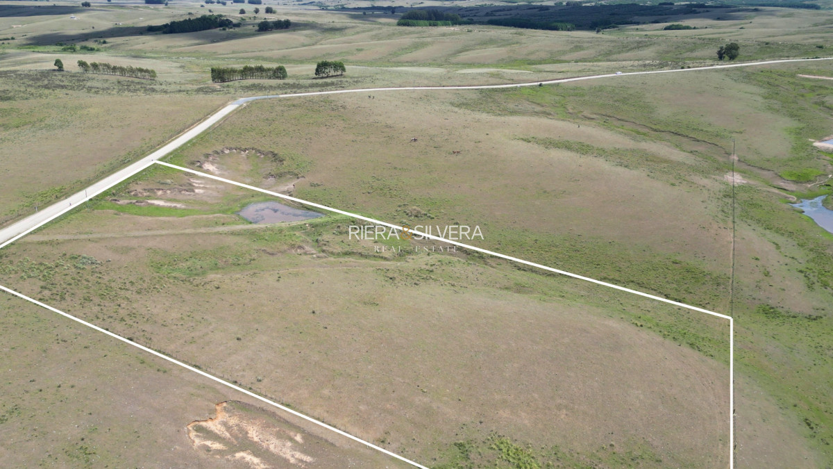 Chacra ID.48 - Chacra de 3 Has sobre Cno. Saenz Martinez