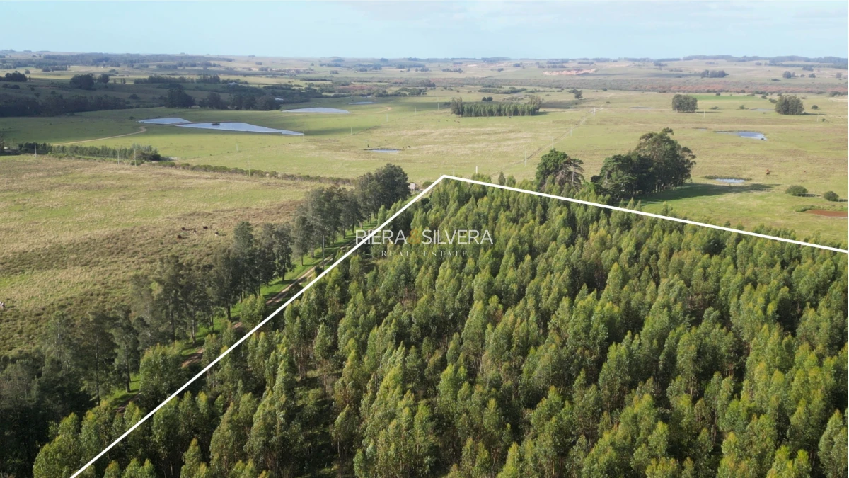 Chacra ID.45 - Chacra de 5 Has en Zona de José Ignacio 