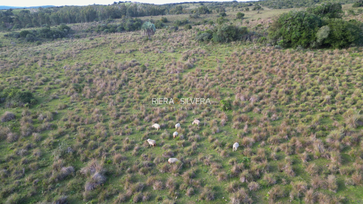 Chacra ID.53 - Chacra en zona de Sierras de Garzón