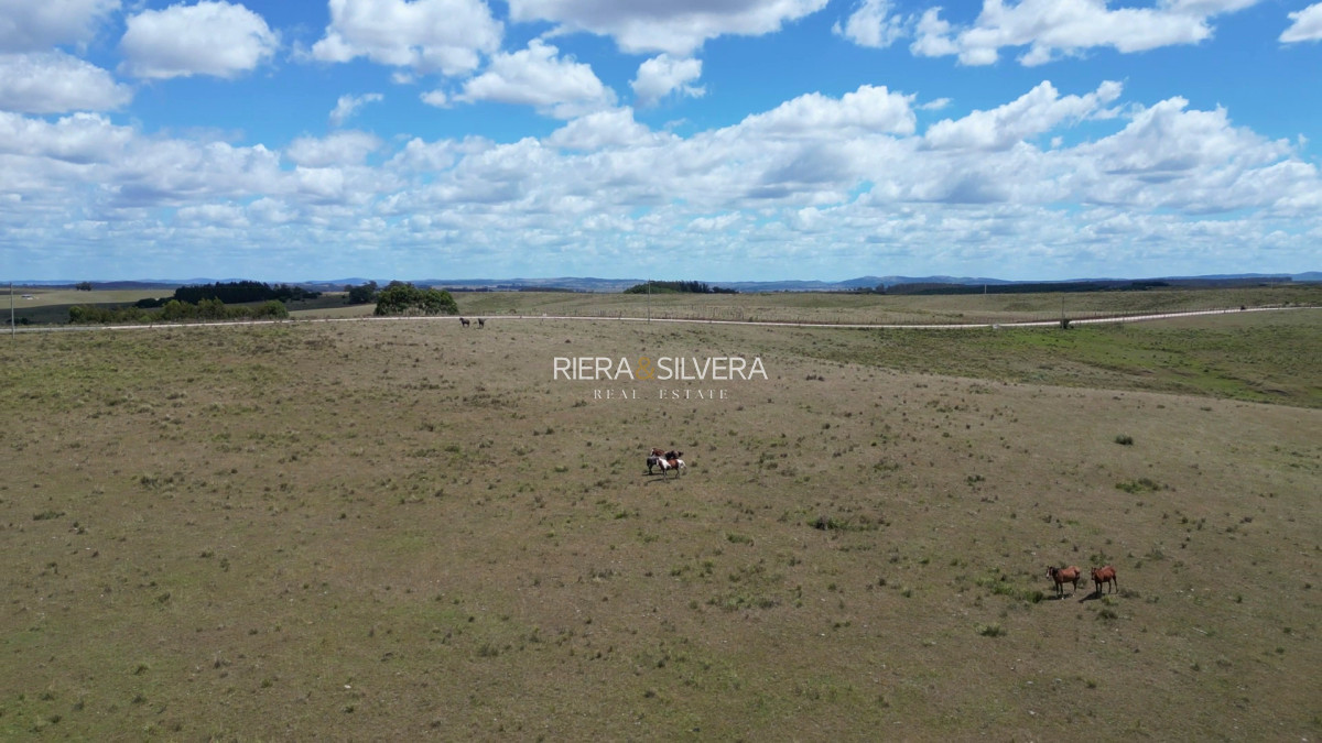 Chacra ID.48 - Chacra de 3 Has sobre Cno. Saenz Martinez