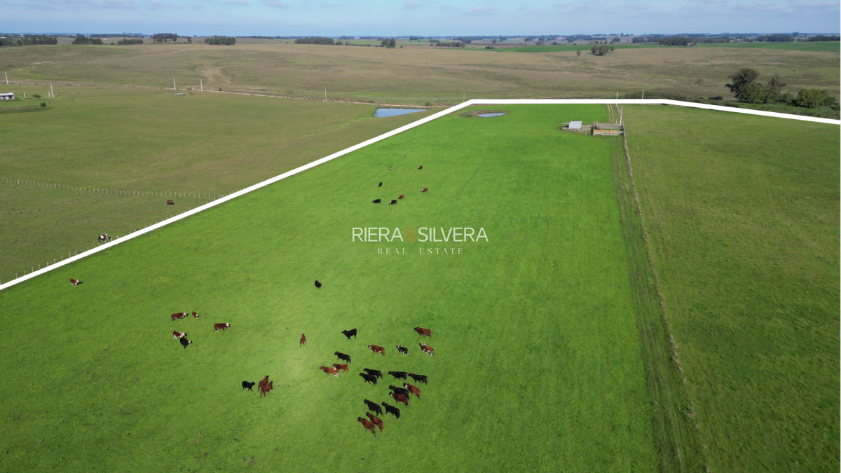 Chacra ID.58 - Campo con mejoras en Cañada Bellaca - Ganadero - 