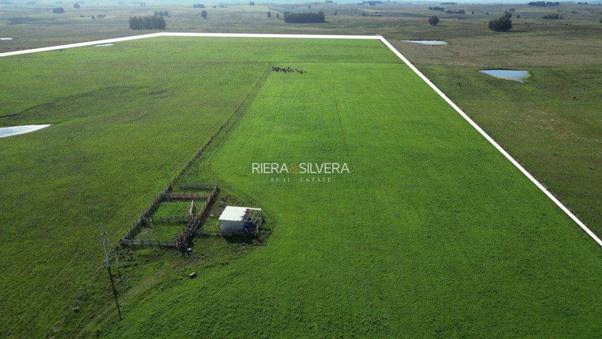 Chacra ID.58 - Campo con mejoras en Cañada Bellaca - Ganadero - 
