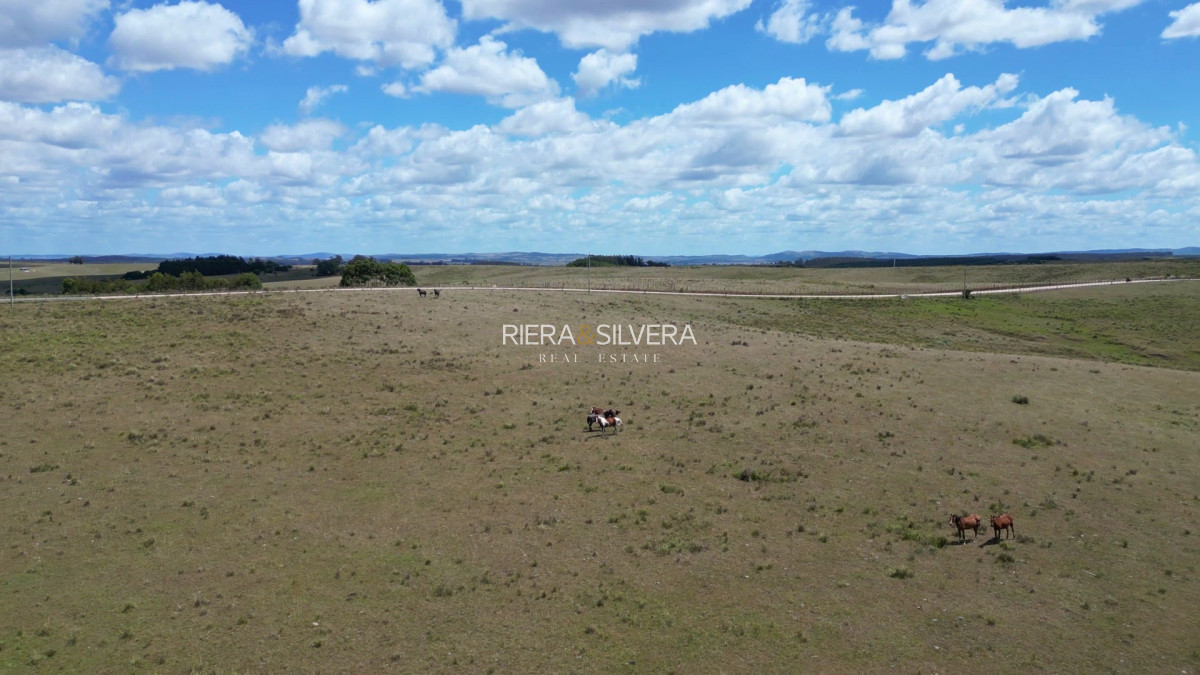 Chacra ID.31 - Chacra de 3.5 Has sobre Cno. Saenz Martinez 