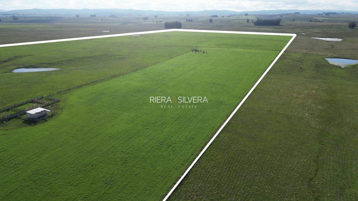 Chacra ID.58 - Campo con mejoras en Cañada Bellaca - Ganadero - 