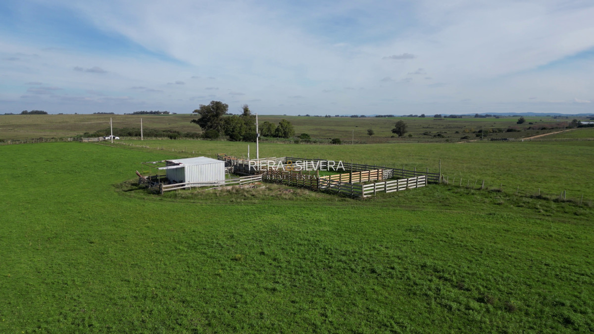 Chacra ID.58 - Campo con mejoras en Cañada Bellaca - Ganadero - 