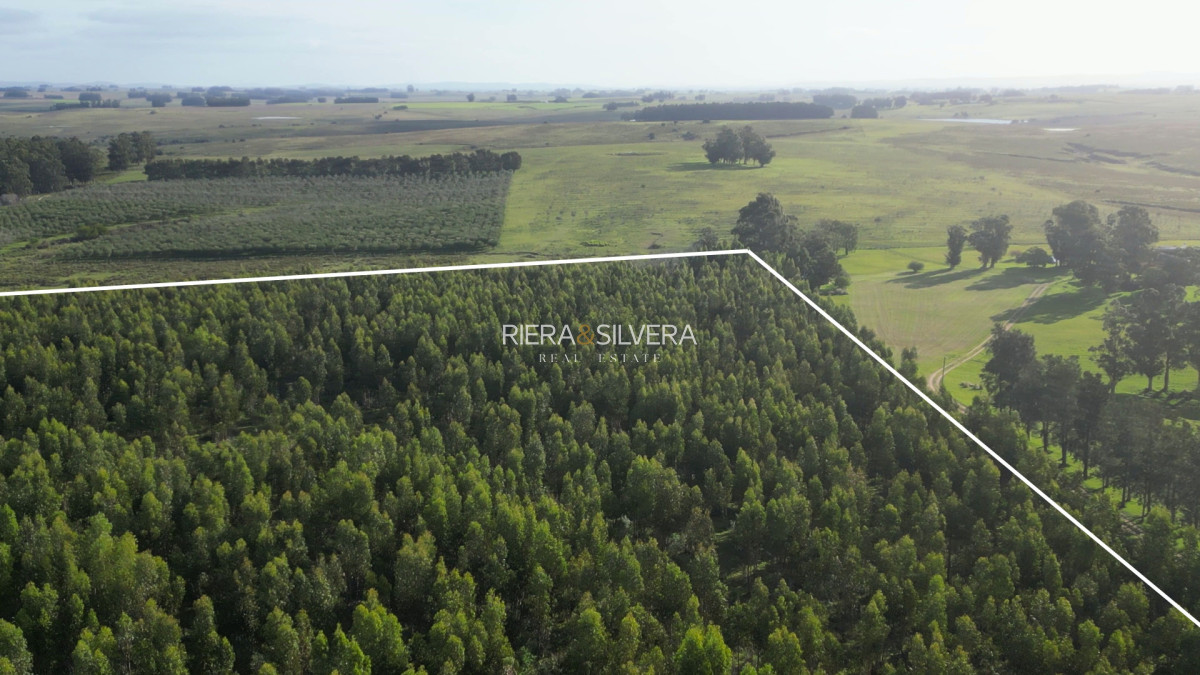 Chacra ID.45 - Chacra de 5 Has en Zona de José Ignacio 