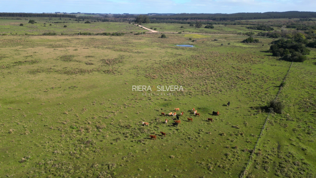 Campo Ref.44 - Campo en Costas de José Ignacio | 24 Has