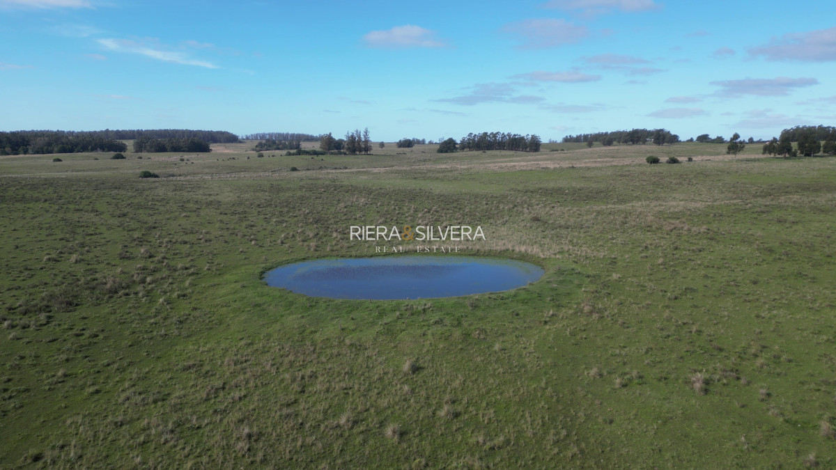 Campo Ref.44 - Excelente campo en Costas de José Ignacio | 24 Has