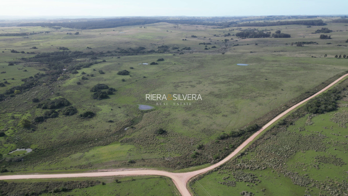 Campo Ref.44 - Excelente campo en Costas de José Ignacio | 24 Has
