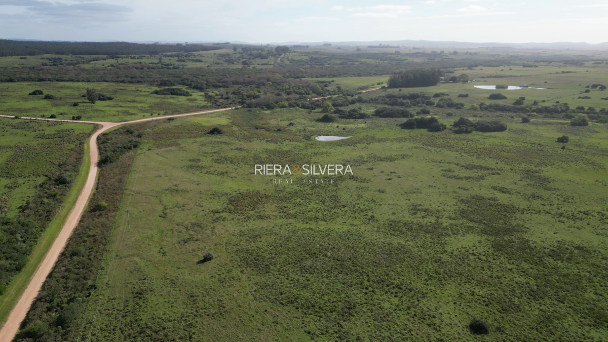 Campo Ref.44 - Excelente campo en Costas de José Ignacio | 24 Has