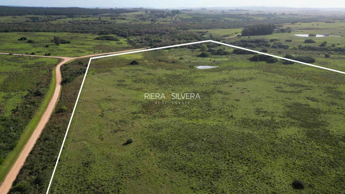Campo Ref.44 - Campo en Costas de José Ignacio | 24 Has