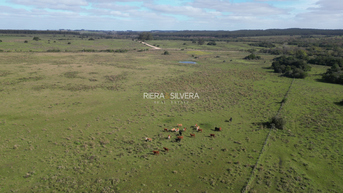 Campo Ref.44 - Excelente campo en Costas de José Ignacio | 24 Has