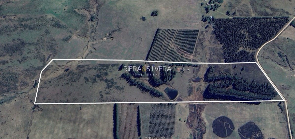 Campo Ref.46 - Campo en Zona de José Ignacio | 30 Has con mejoras 