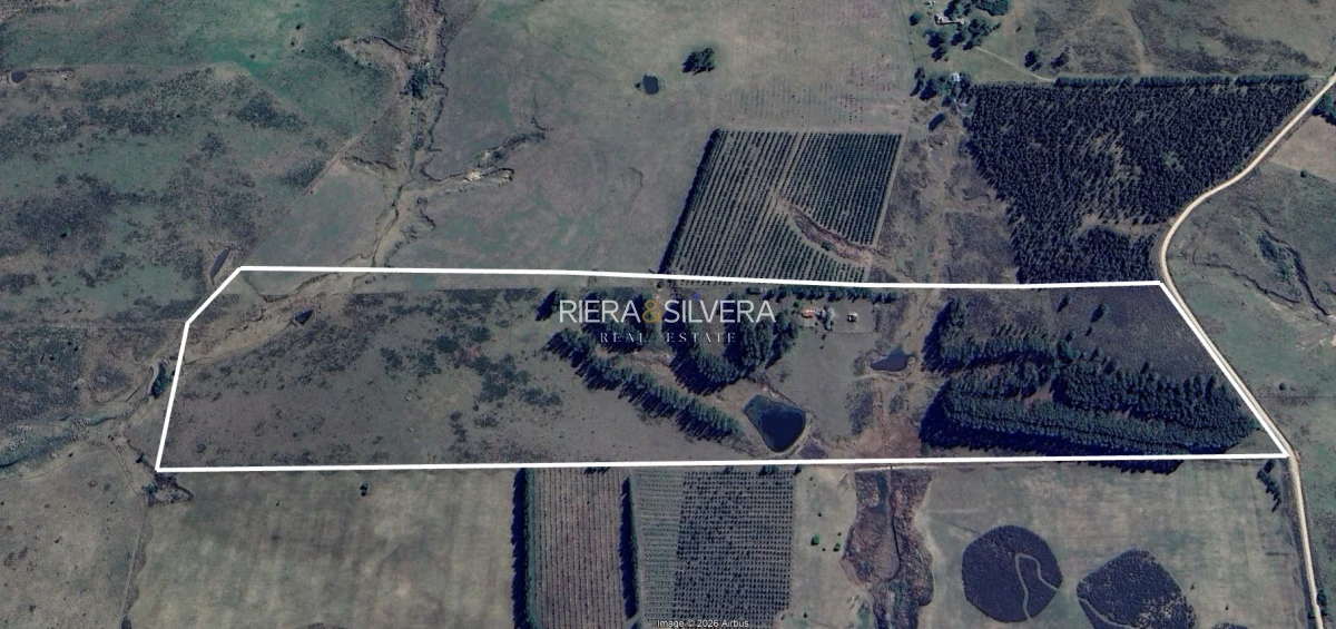 Campo Ref.46 - Campo en Zona de José Ignacio | 30 Has con mejoras 
