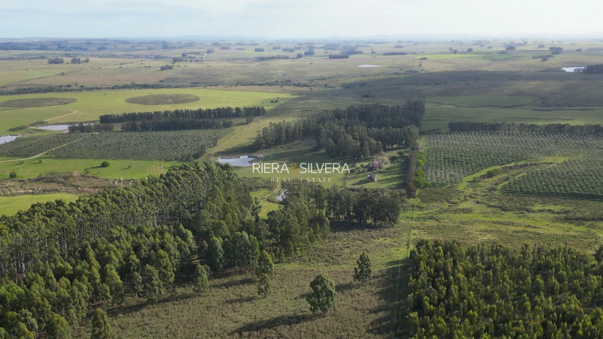 Campo Ref.46 - Campo en Zona de José Ignacio | 30 Has con mejoras 
