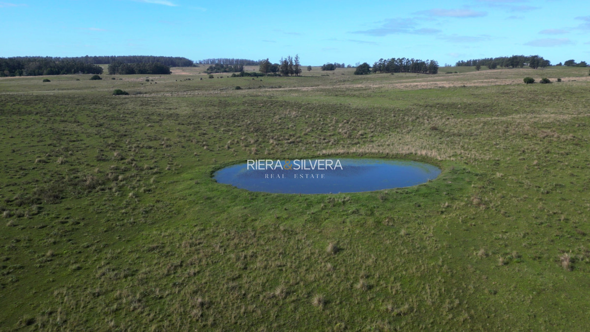Campo Ref.44 - Campo en Costas de José Ignacio | 24 Has