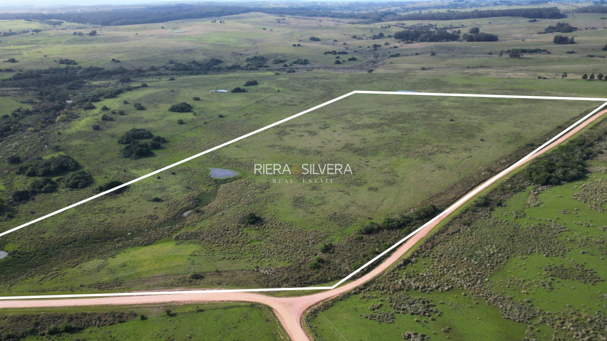 Campo Ref.44 - Campo en Costas de José Ignacio | 24 Has
