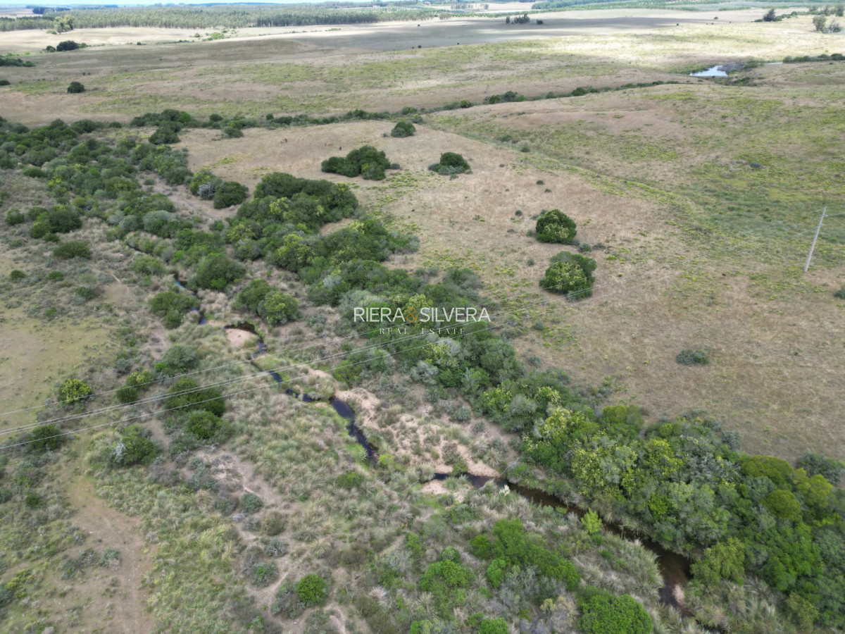 Campo Ref.1 - Campo de 40 Has en Pueblo Garzón