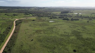 Excelente campo en Costas de José Ignacio | 24 Has