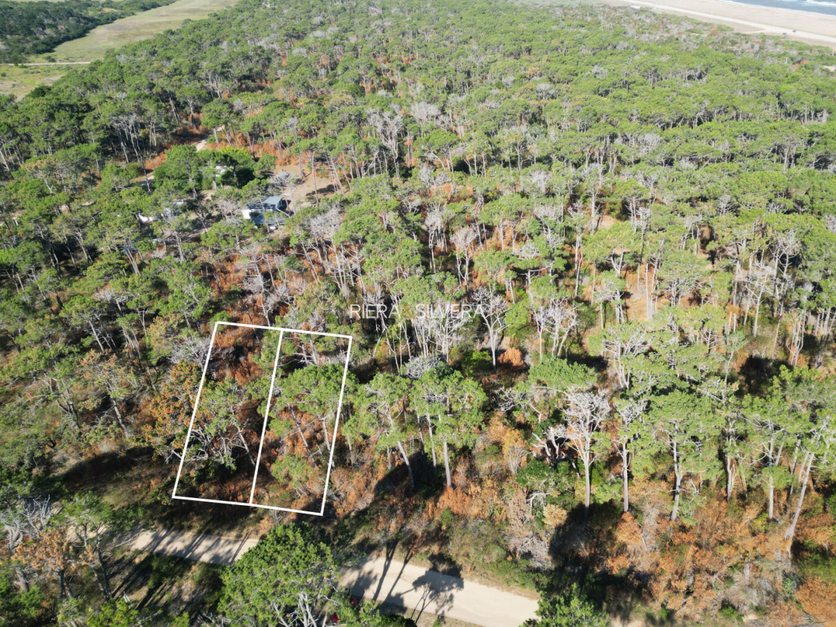 Terreno ID.8 - Terreno en El Caracol sobre calle principal 