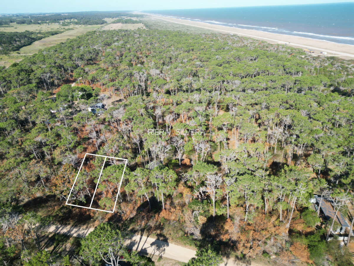 Terreno ID.8 - Terreno en El Caracol sobre calle principal 