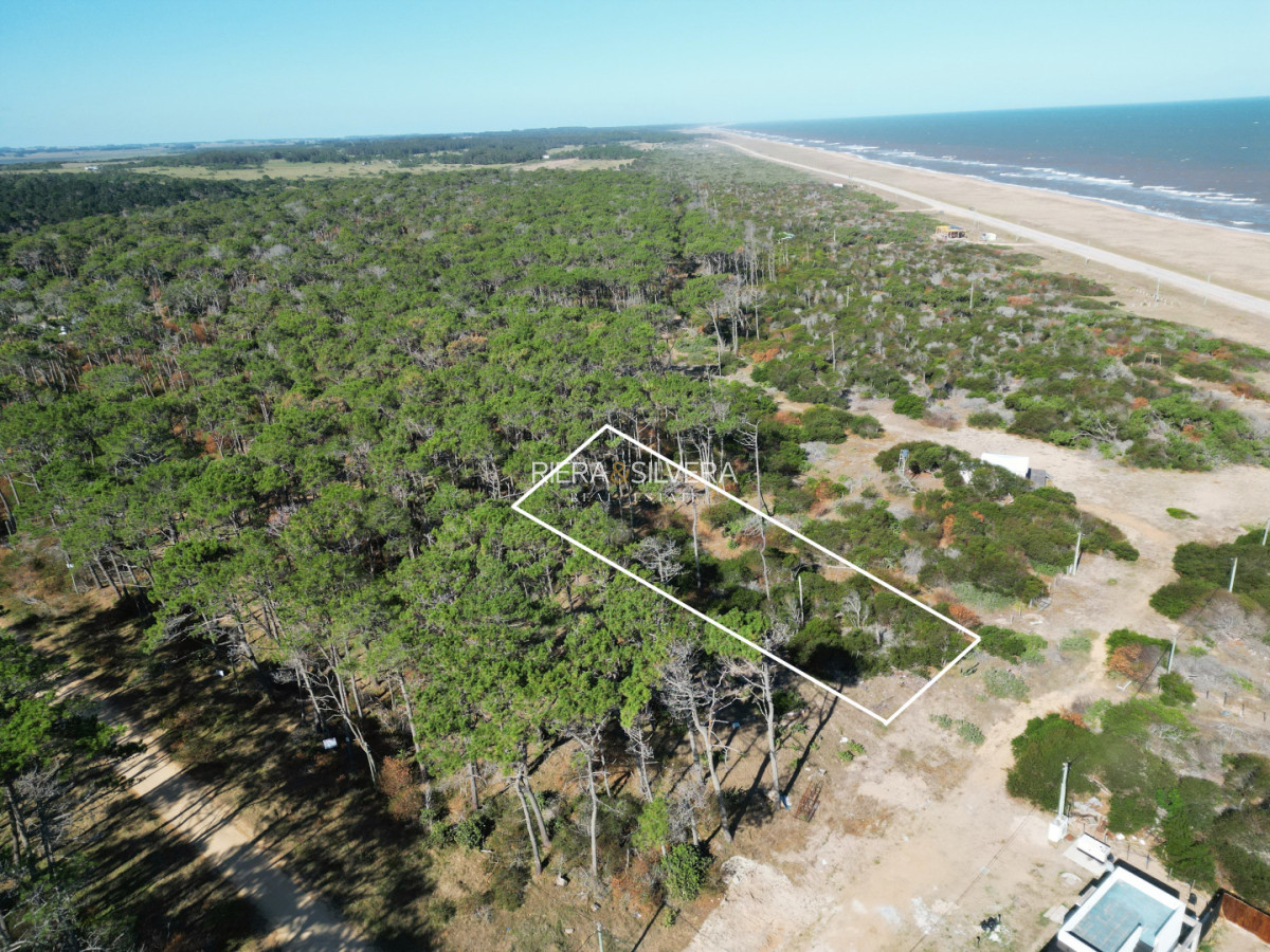 Terreno ID.6 - Terreno en El Caracol | Próximo a Ruta 10