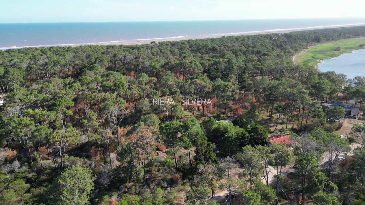 Terreno ID.7 - Terreno en El Caracol | próximo a Ruta 10