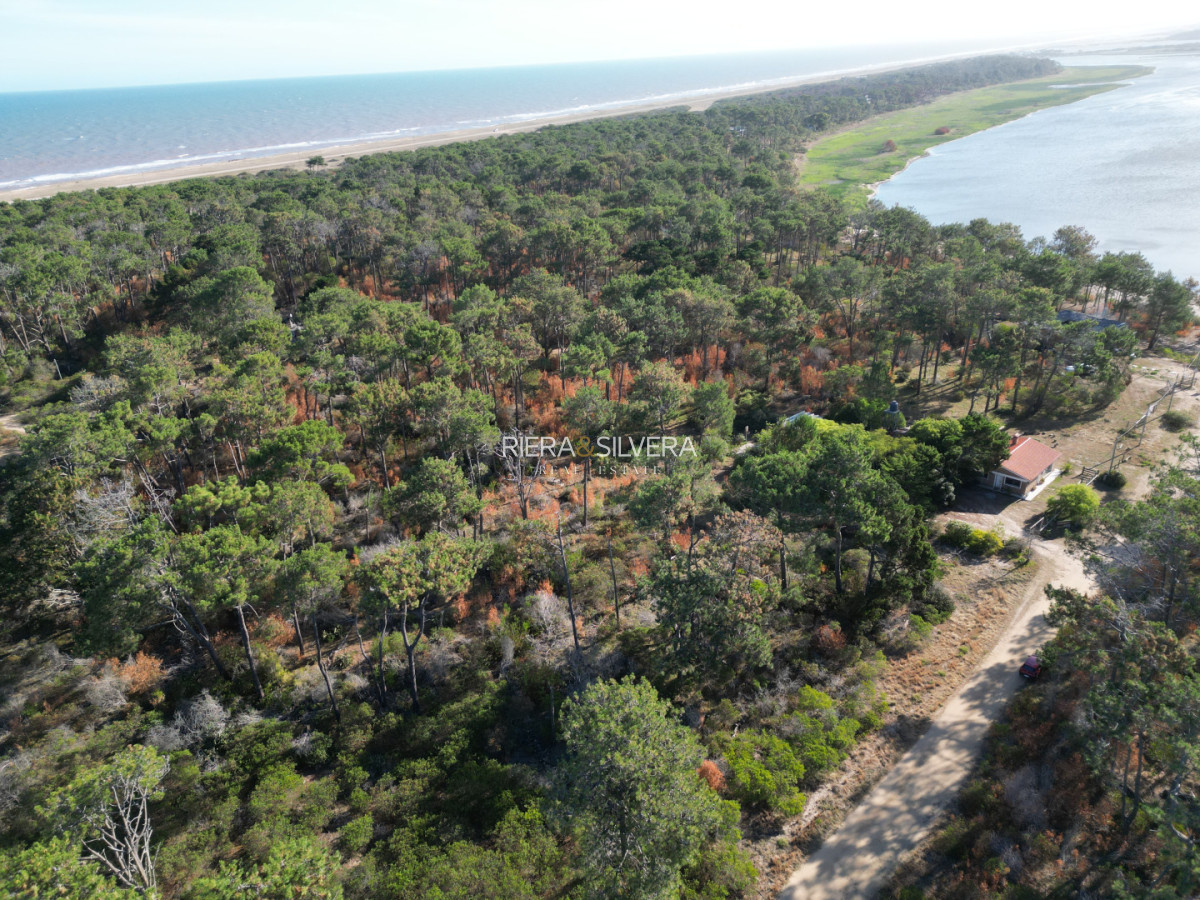 Terreno ID.7 - Terreno en El Caracol | próximo a Ruta 10