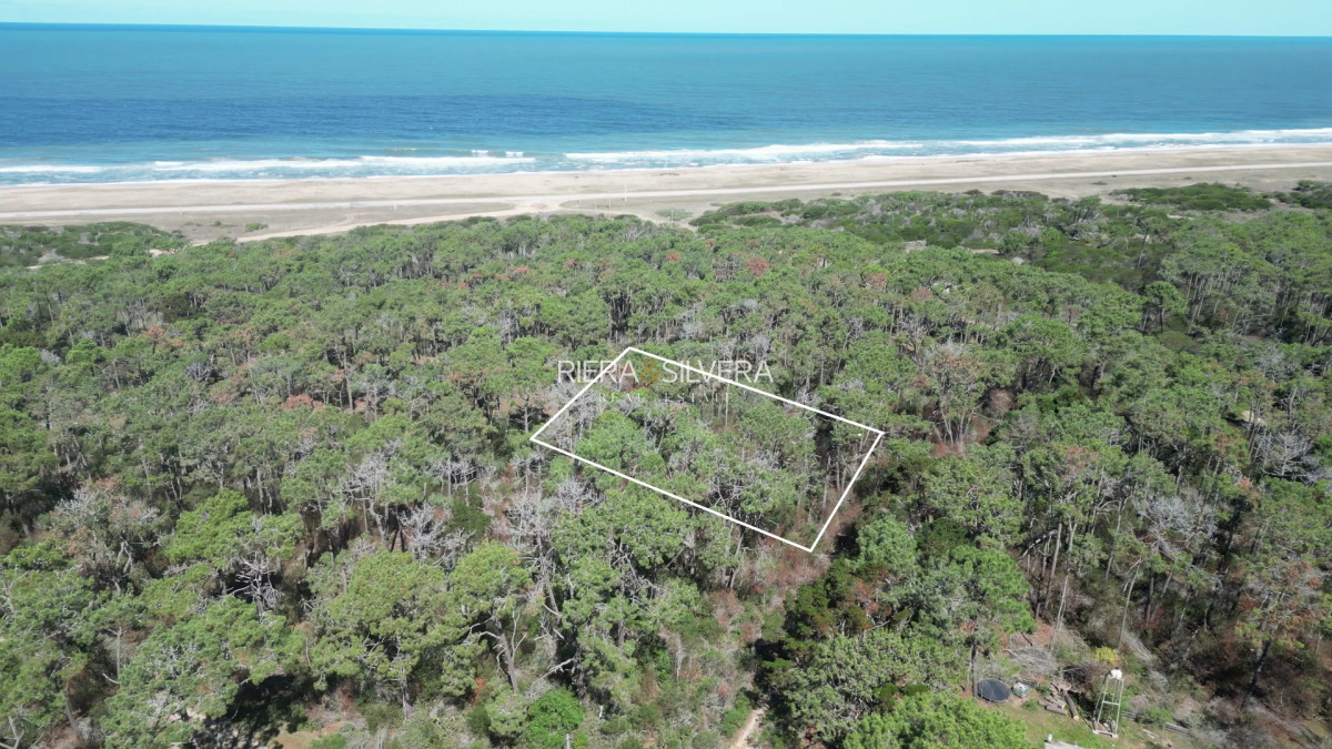 Terreno ID.24 - Terreno en El Caracol | Cerca del mar y Laguna Garzón