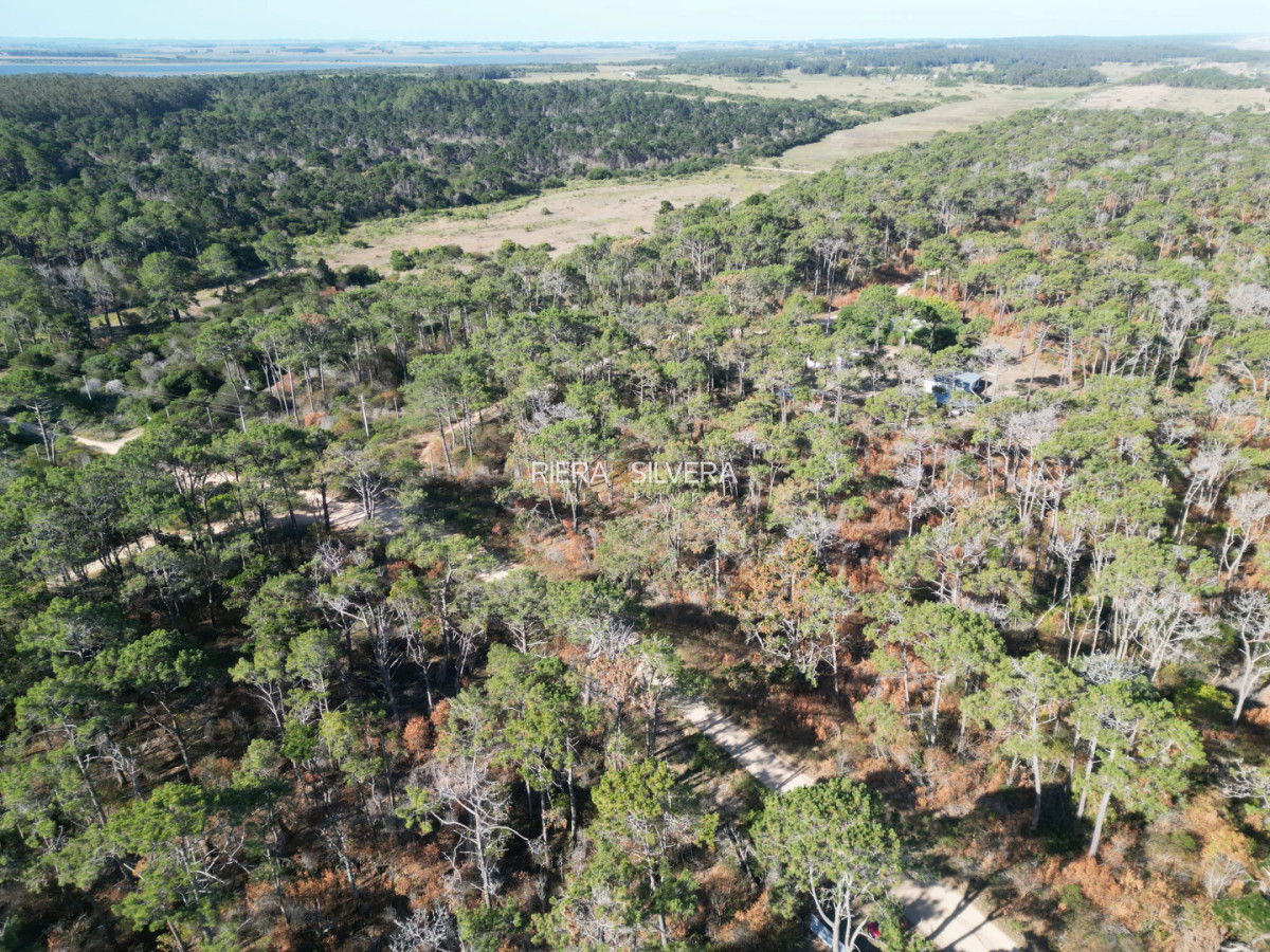 Terreno ID.9 - 6 lotes sobre calle principal en El Caracol 