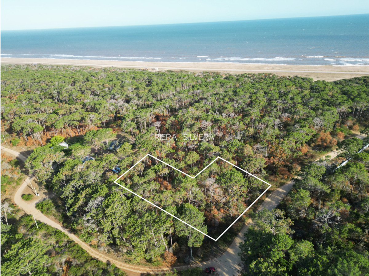 Terreno ID.9 - 6 lotes sobre calle principal en El Caracol 