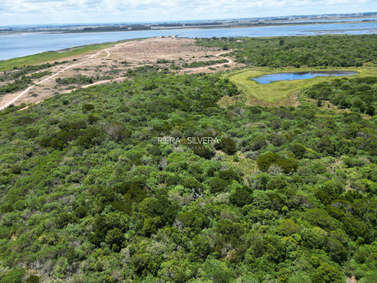 Terreno ID.40 - Lote de 15569 m² en El Caracol 
