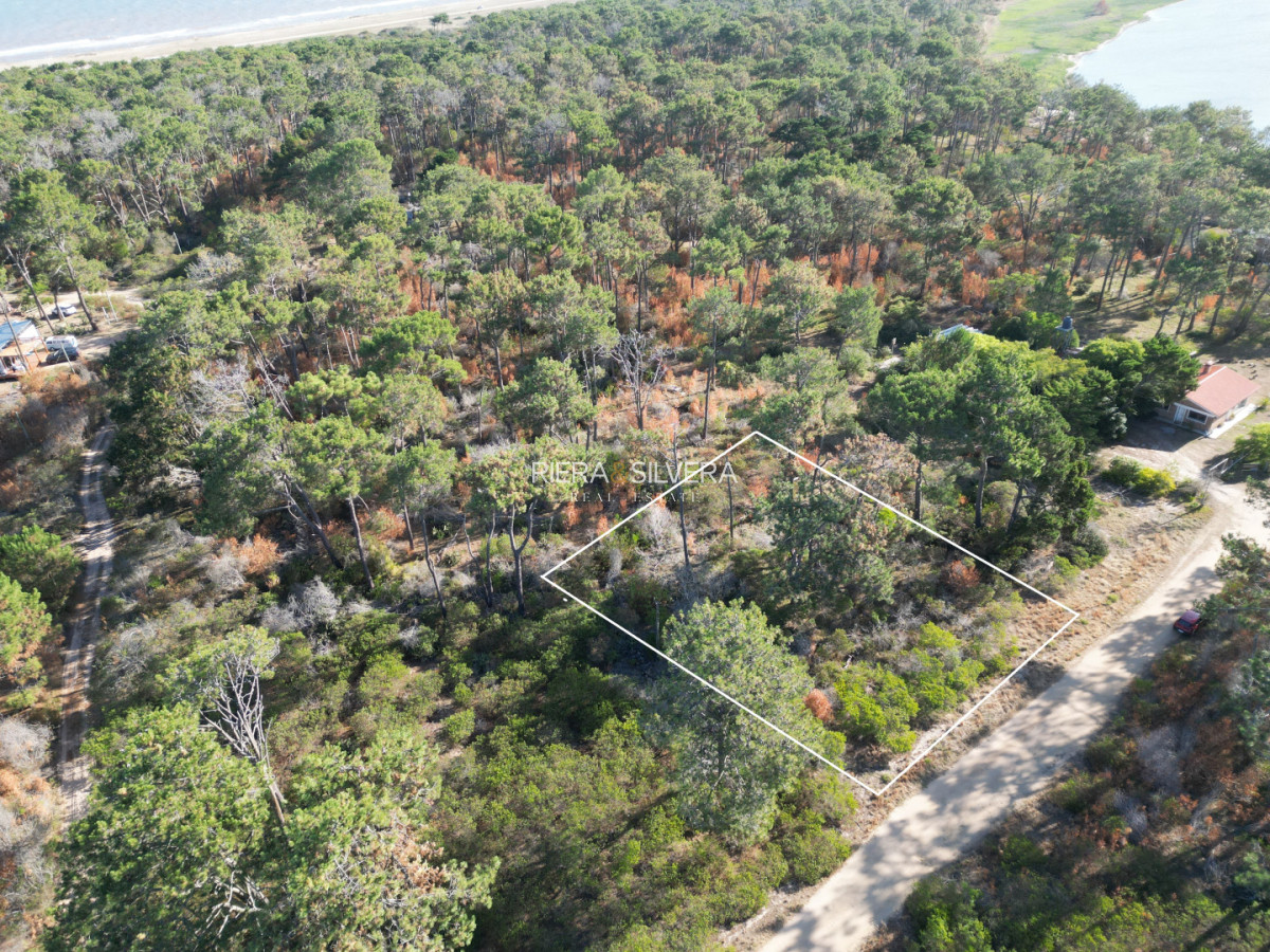 Terreno ID.7 - Terreno en El Caracol | próximo a Ruta 10
