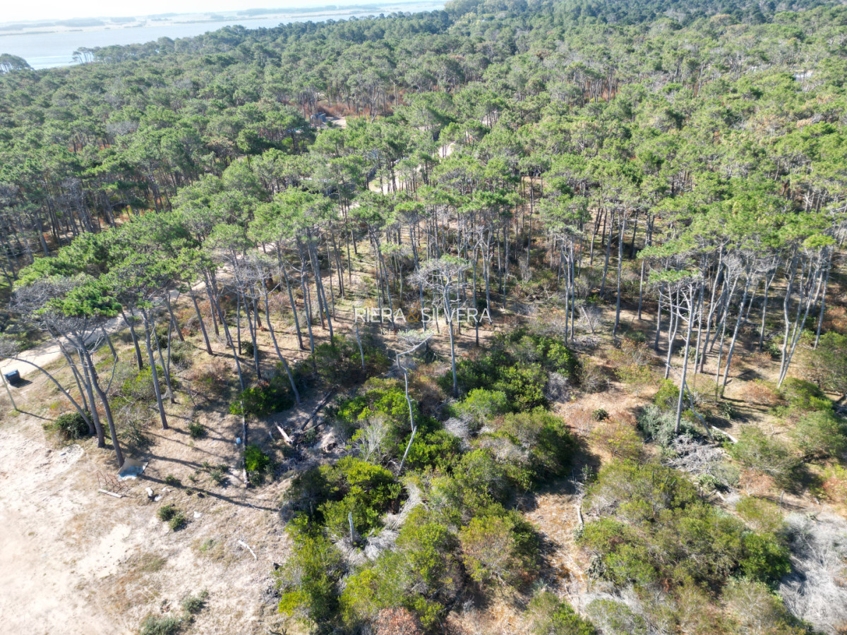 Terreno ID.5 - Terreno en El Caracol | Oportunidad!