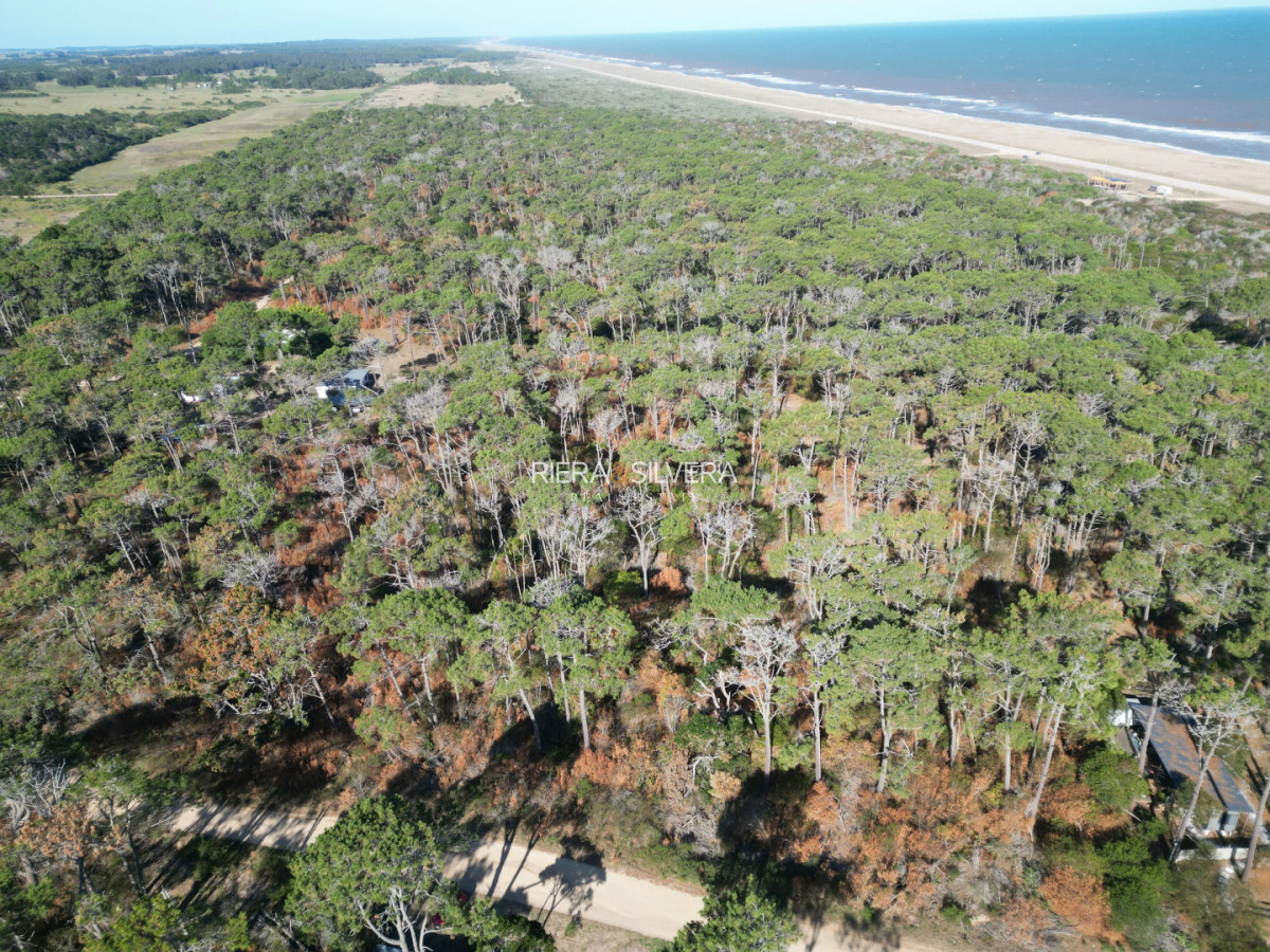 Terreno ID.9 - 6 lotes sobre calle principal en El Caracol 