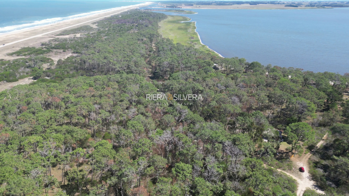 Terreno ID.24 - Terreno en El Caracol | Cerca del mar y Laguna Garzón