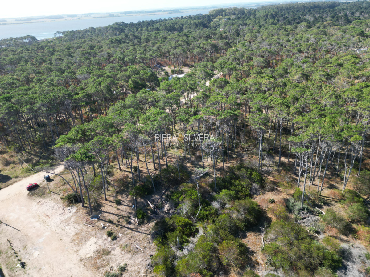 Terreno ID.6 - Terreno en El Caracol | Próximo a Ruta 10