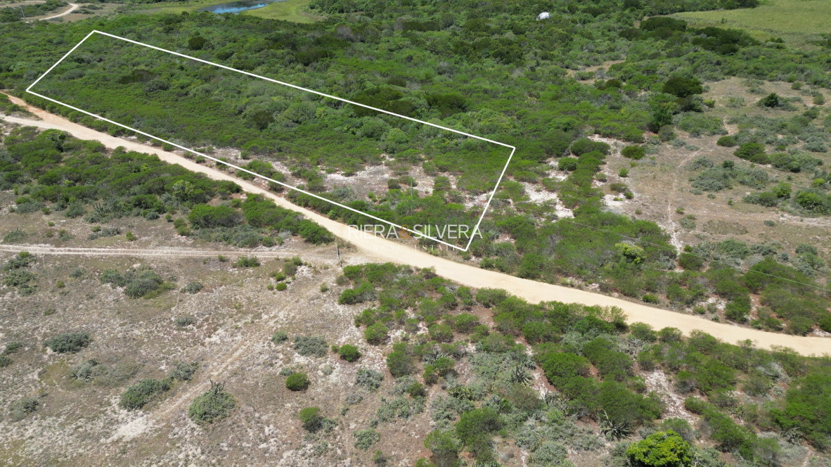 Terreno ID.40 - Lote de 15569 m² en El Caracol 