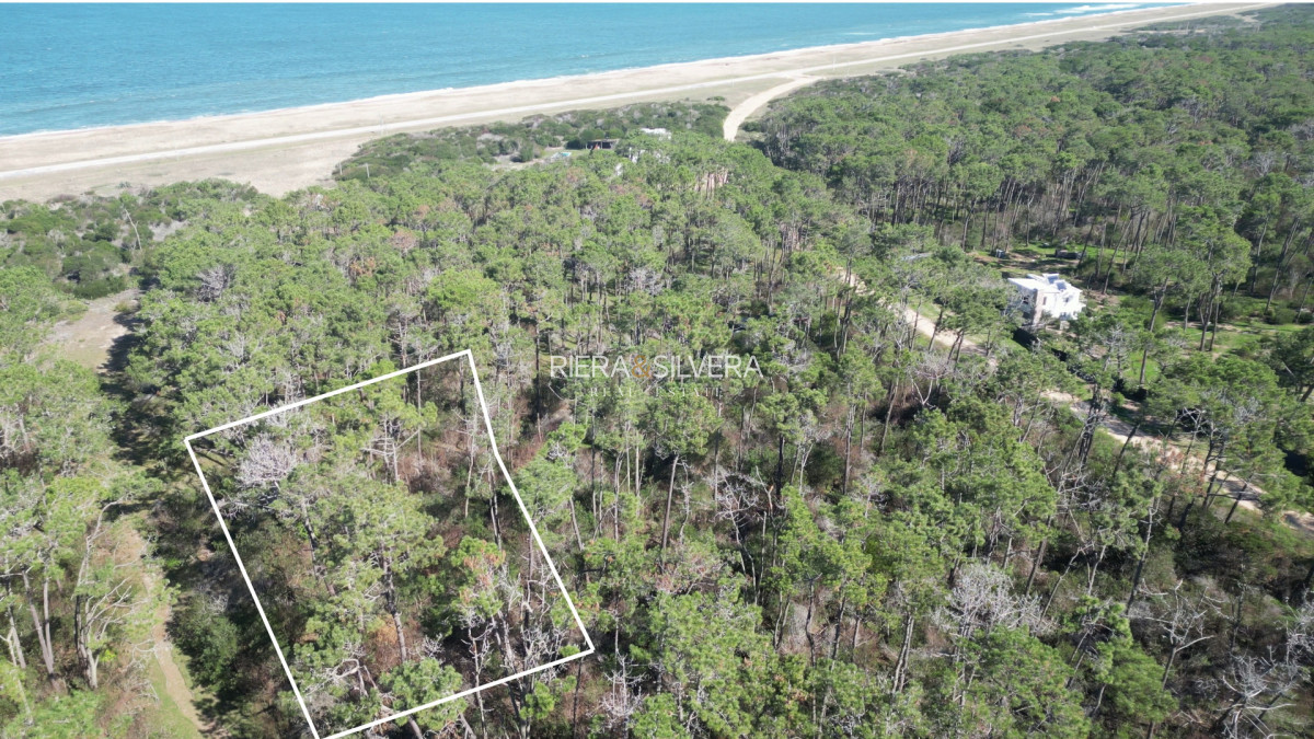 Terreno ID.32 - Lote de 4985 m² en El Caracol 