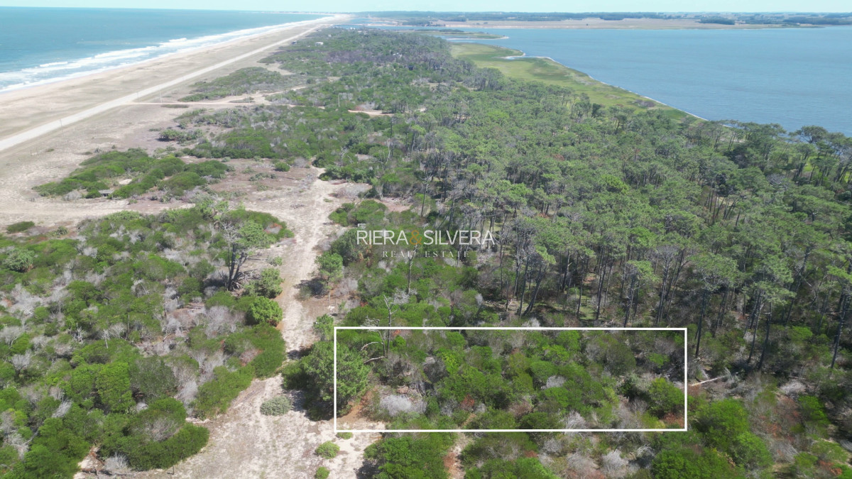 Terreno ID.23 - Terreno en El Caracol | Cerca del mar 