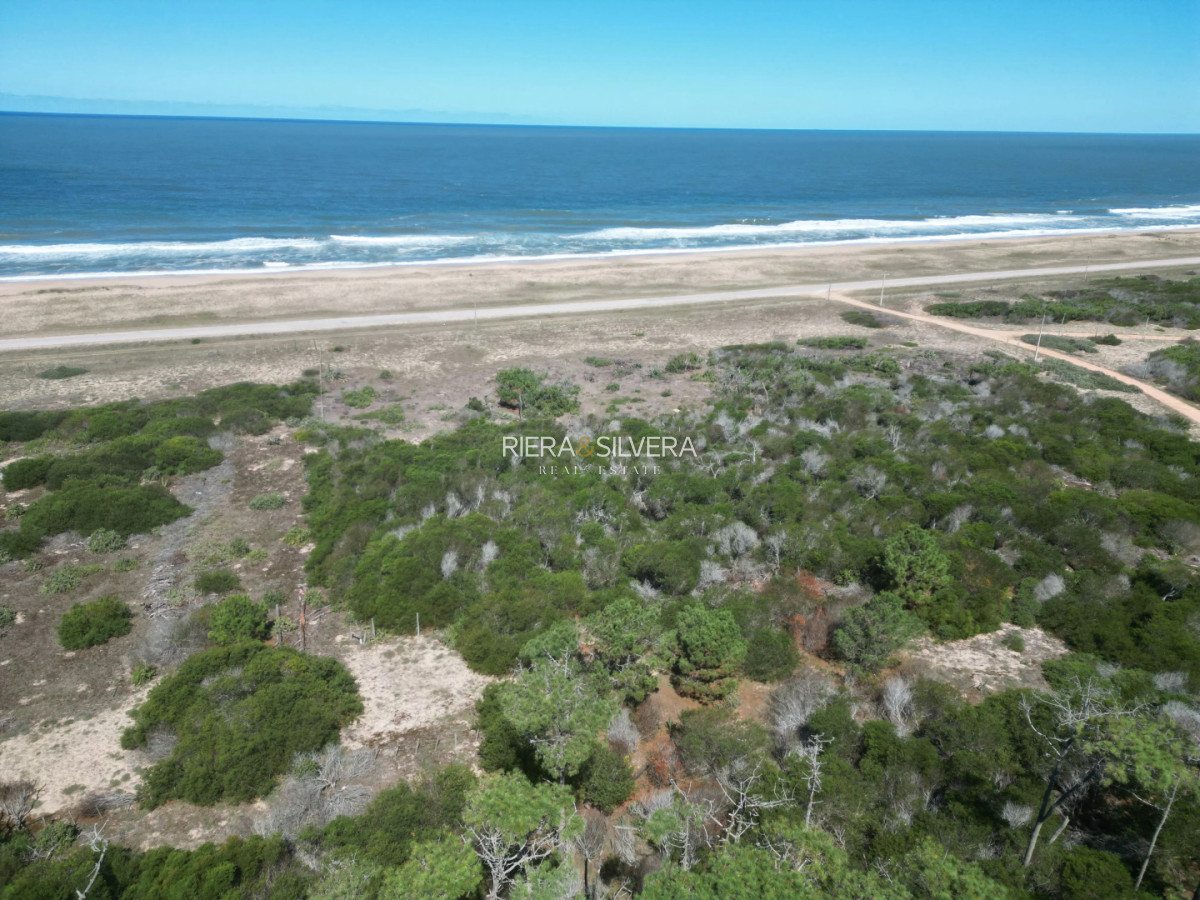 Terreno ID.22 - Terreno en El Caracol | próximo a Ruta 10