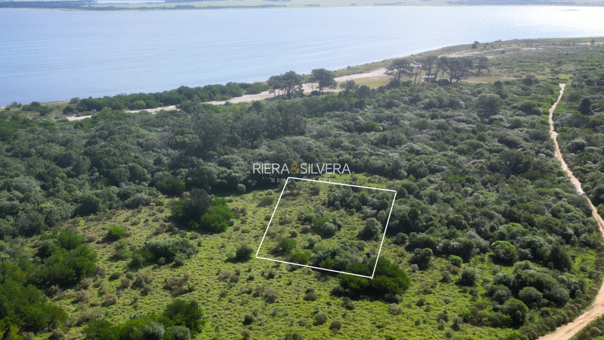 Terreno ID.36 - Terreno en El Caracol | Gran extensión